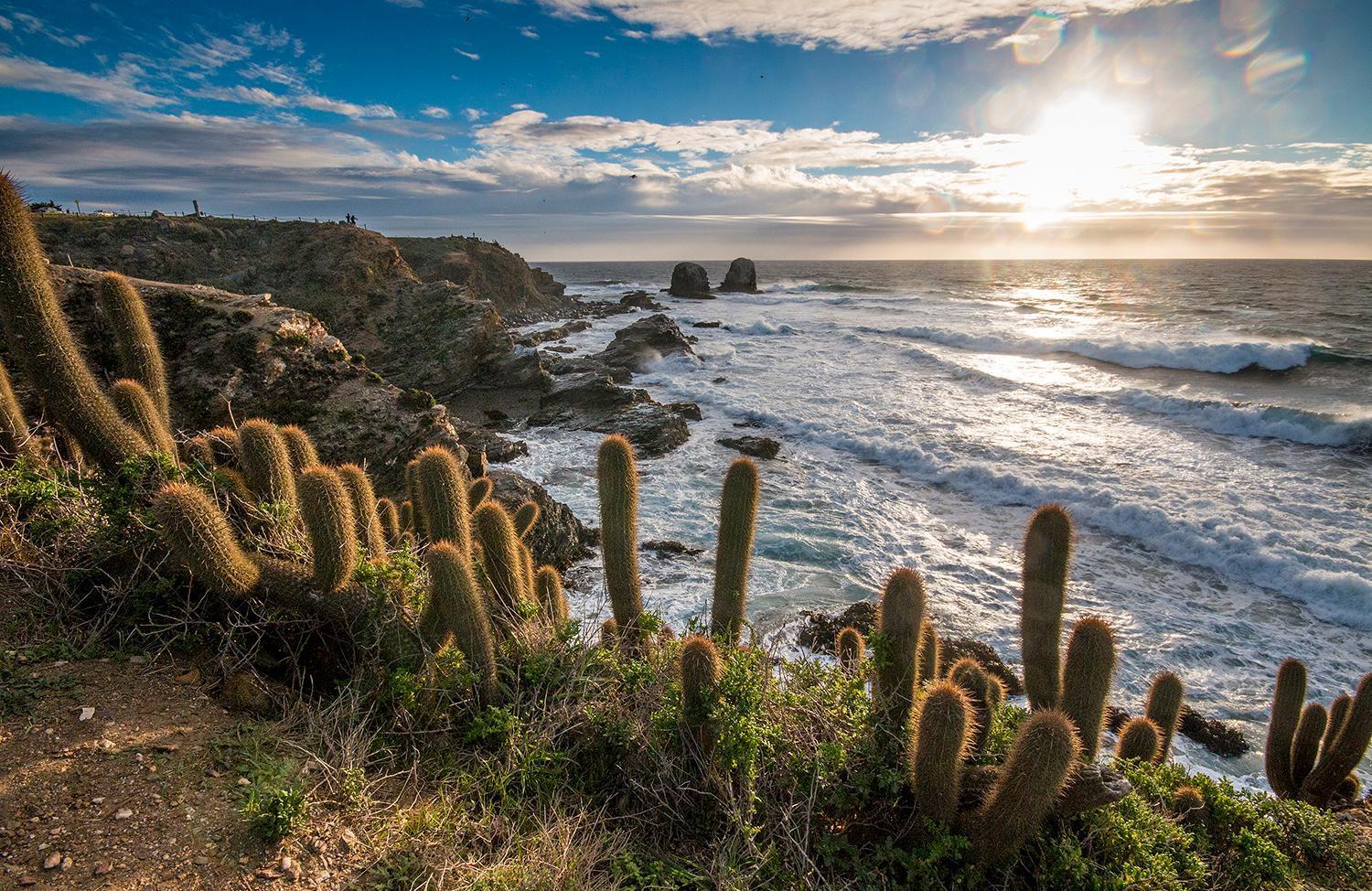 Hotel Alaia Pichilemu Exterior photo