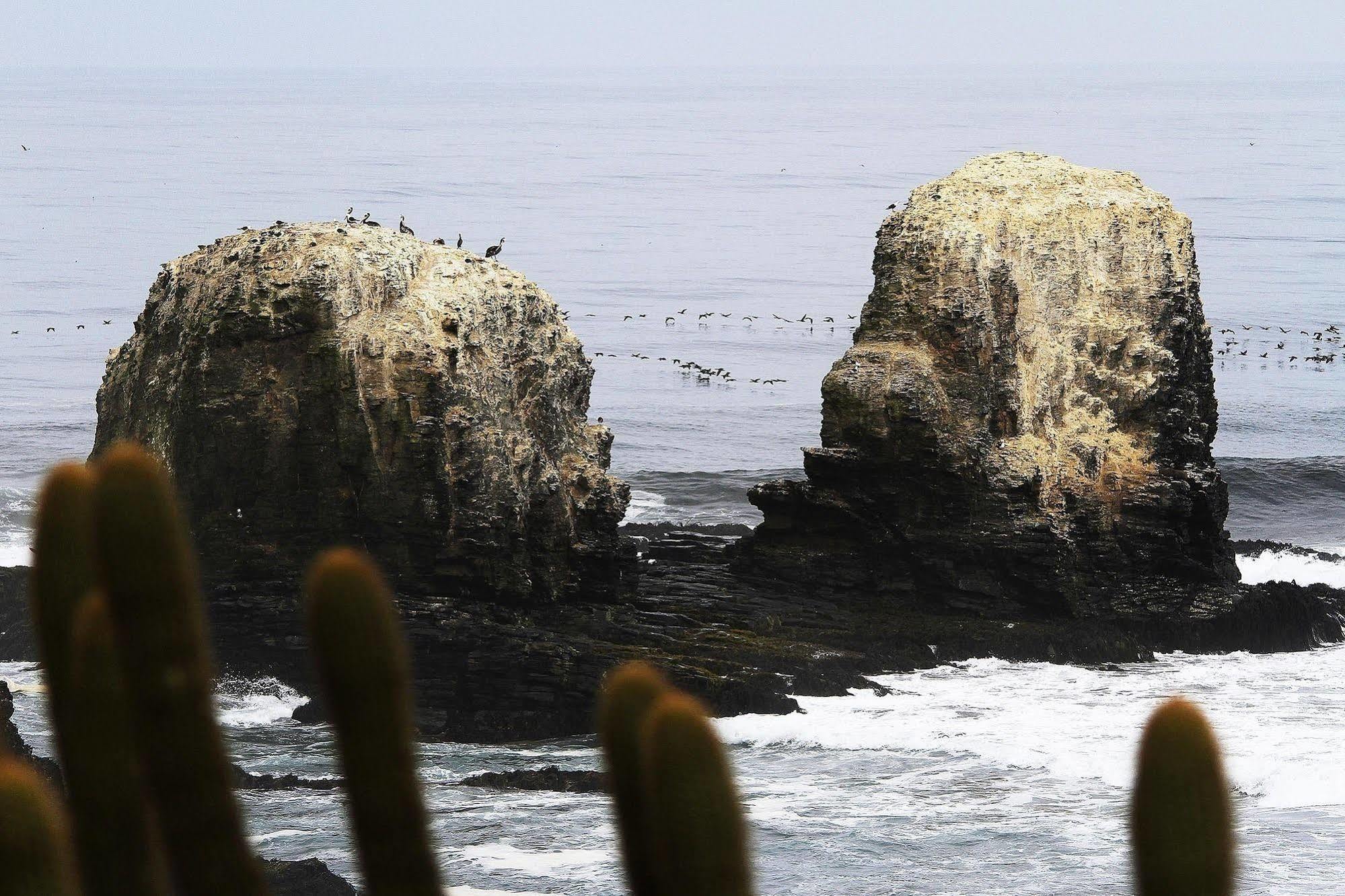Hotel Alaia Pichilemu Exterior photo